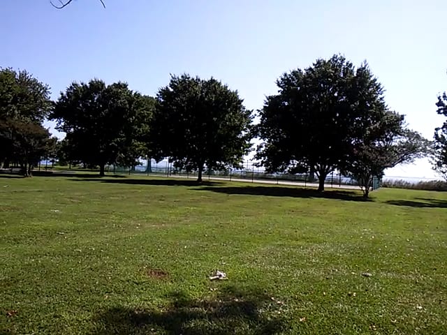 King-Lincoln Park, photo 3