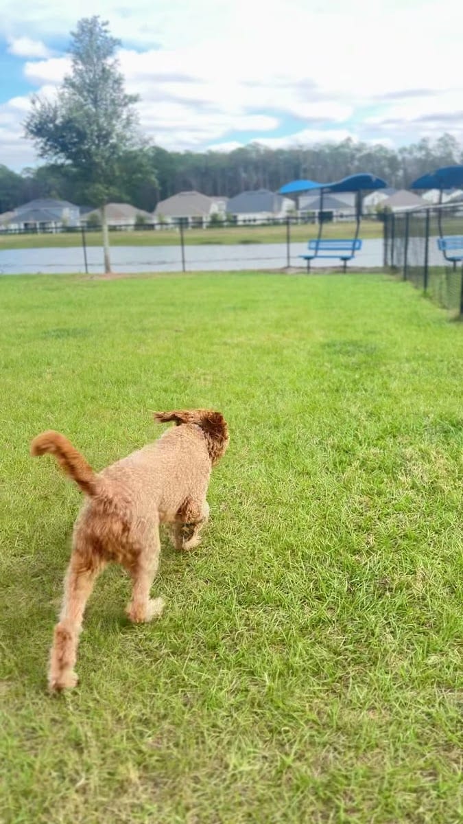 Eagle Landing Dog Park (Private)