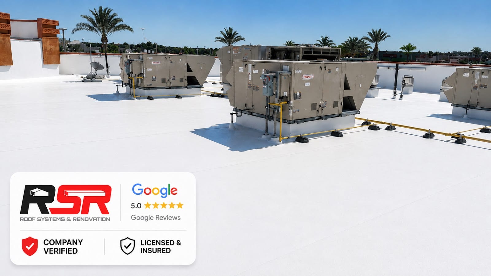 Roof Systems & Renovation
