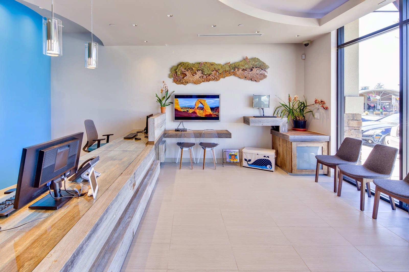 Marina Encore Dental, photo 4