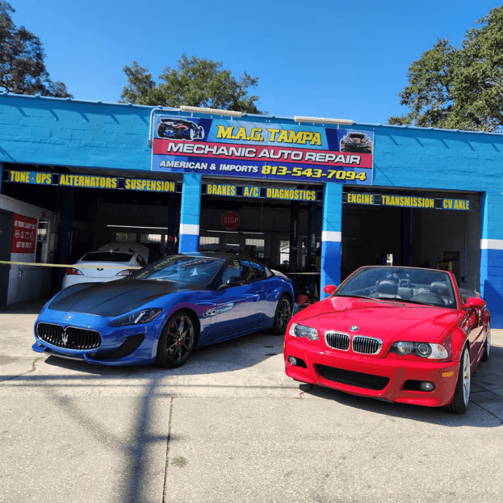 MAG TAMPA, photo 4
