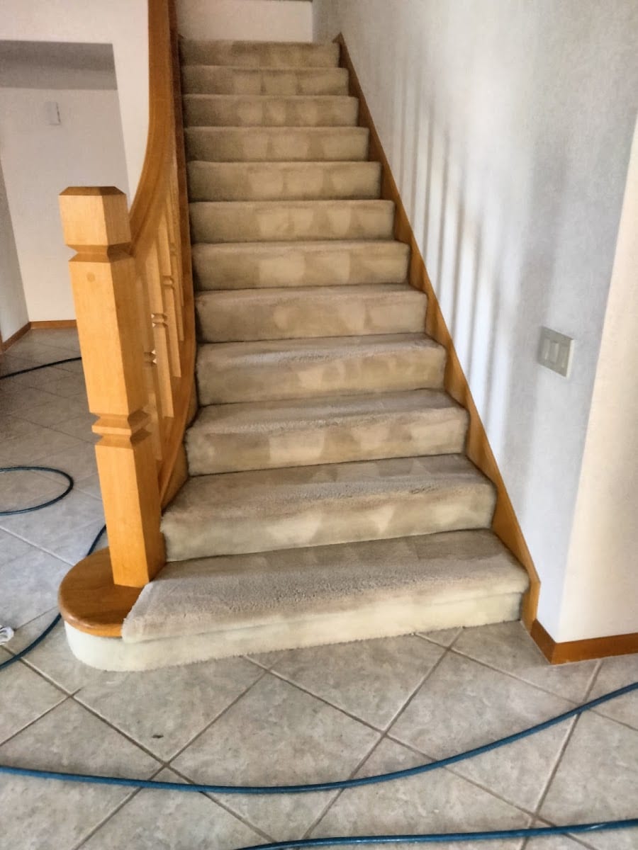 Carpet Star Carpet Cleaning, photo 4