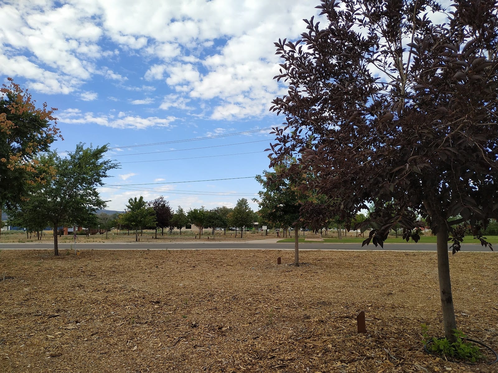 Memorial Grove Park