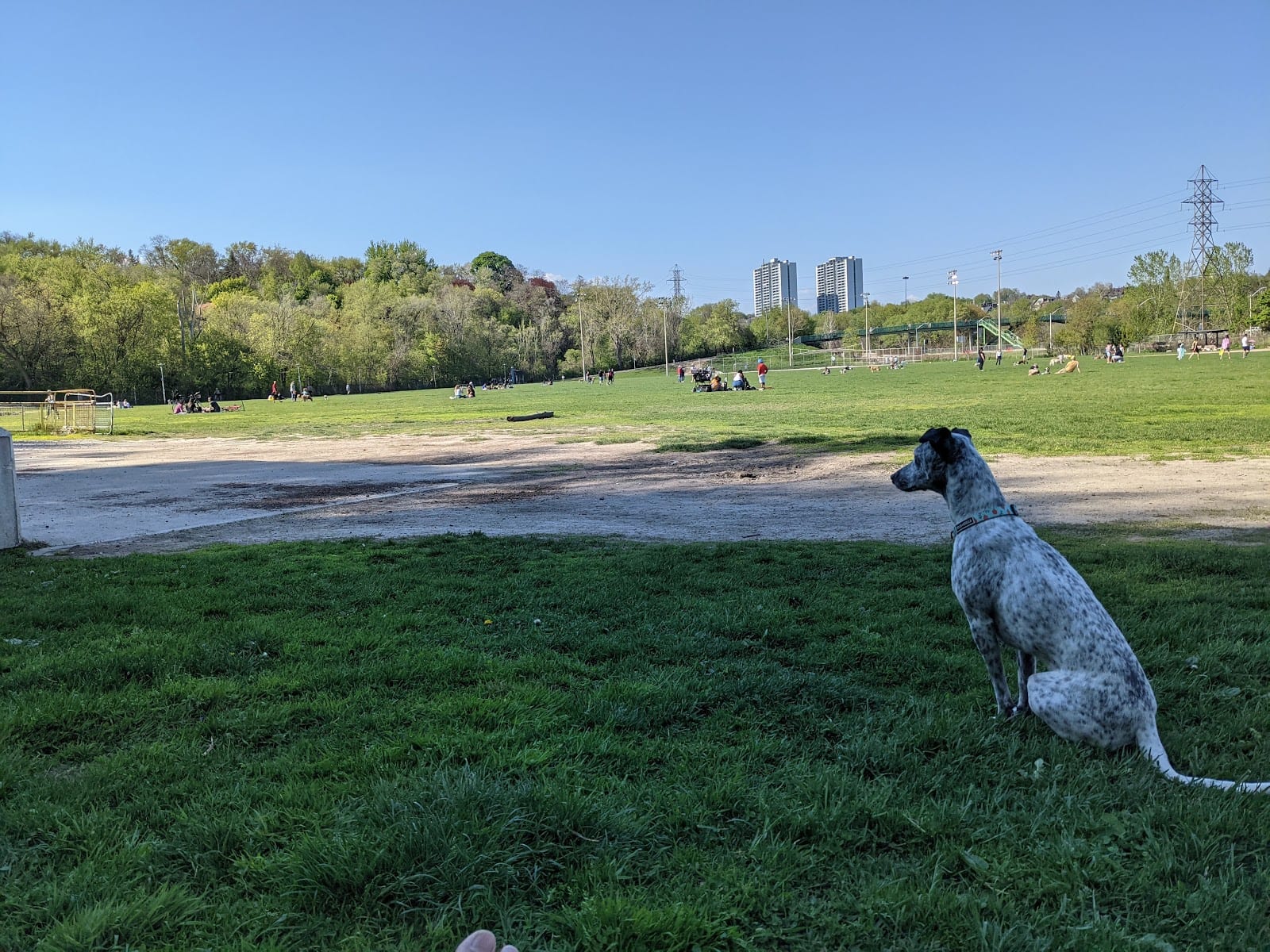 West Riverdale Dog Park