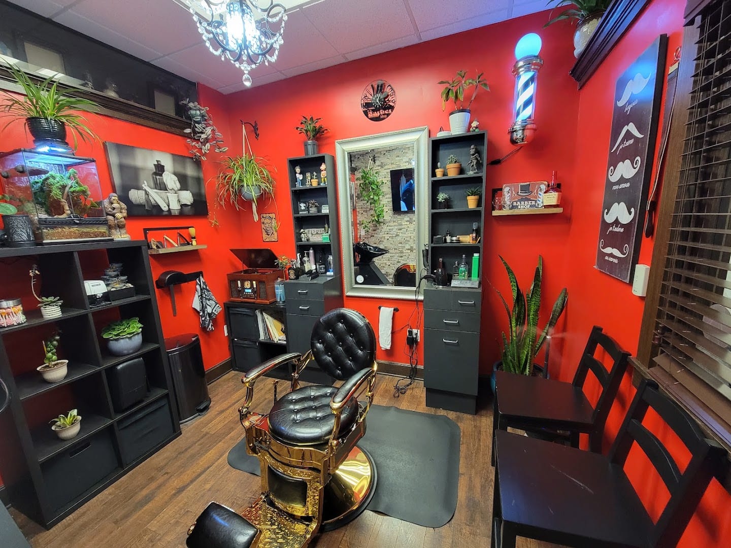 Dkbarber