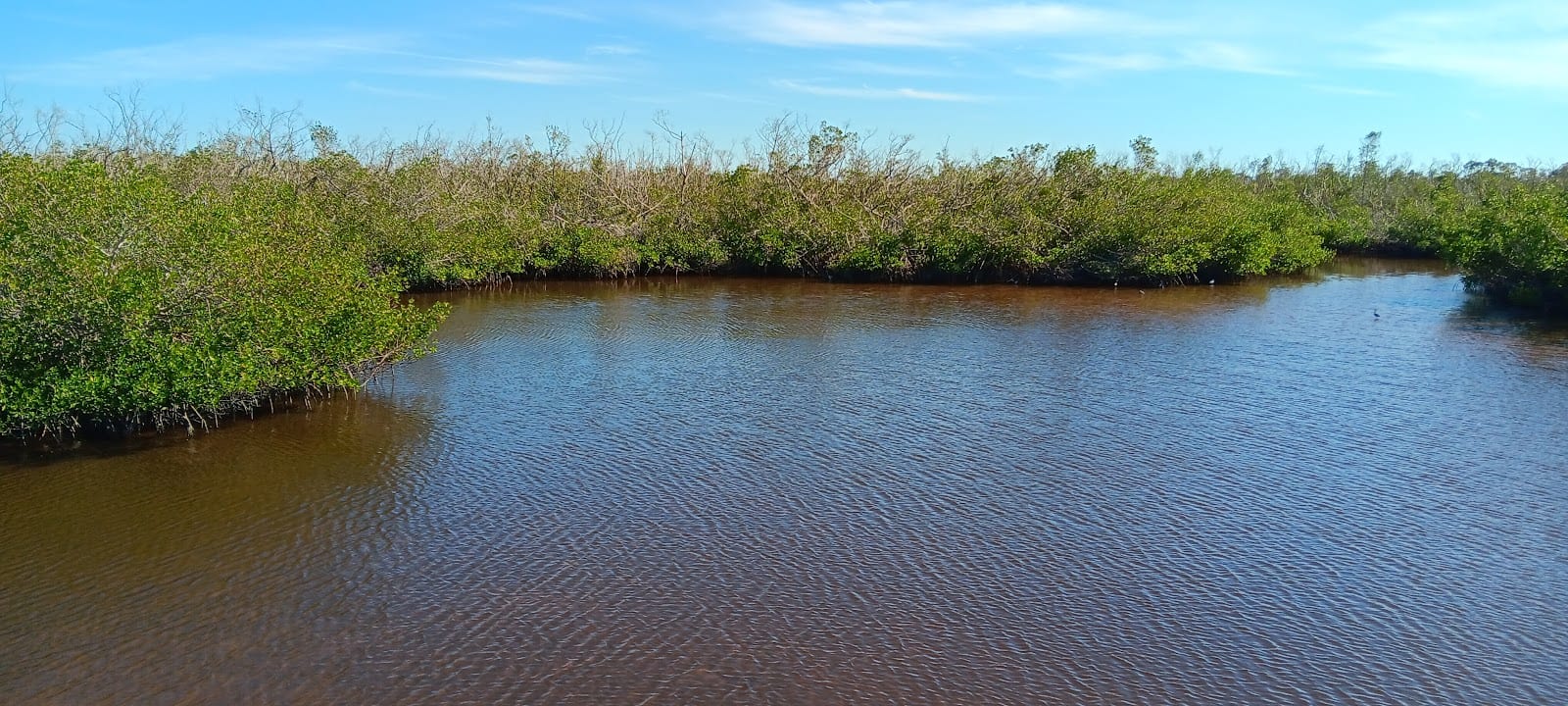 Cape Haze Trail North Parking, photo 3