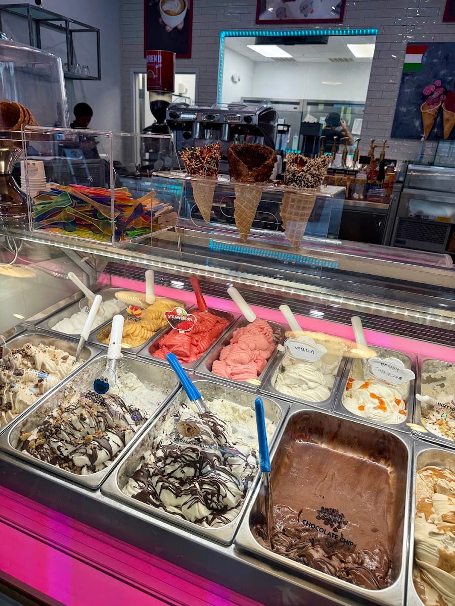 Gelato-Go Tampa, photo 4