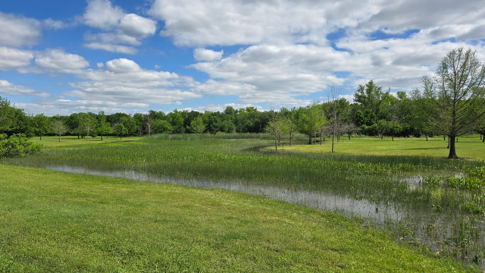 Rock Hollow Park, photo 3