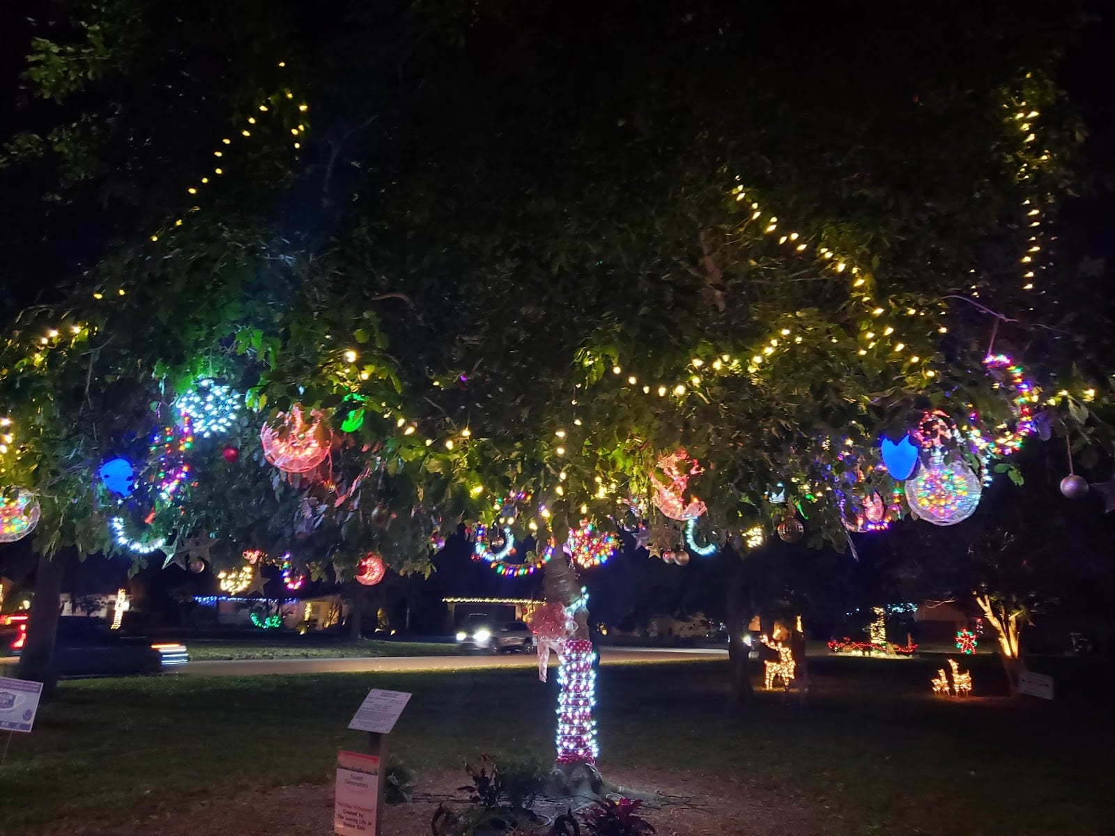 Monty Andrews Arboretum @ West Blalock Park
