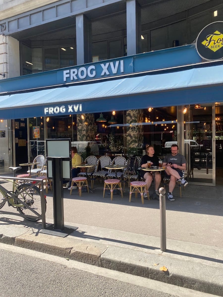 Frog XVI