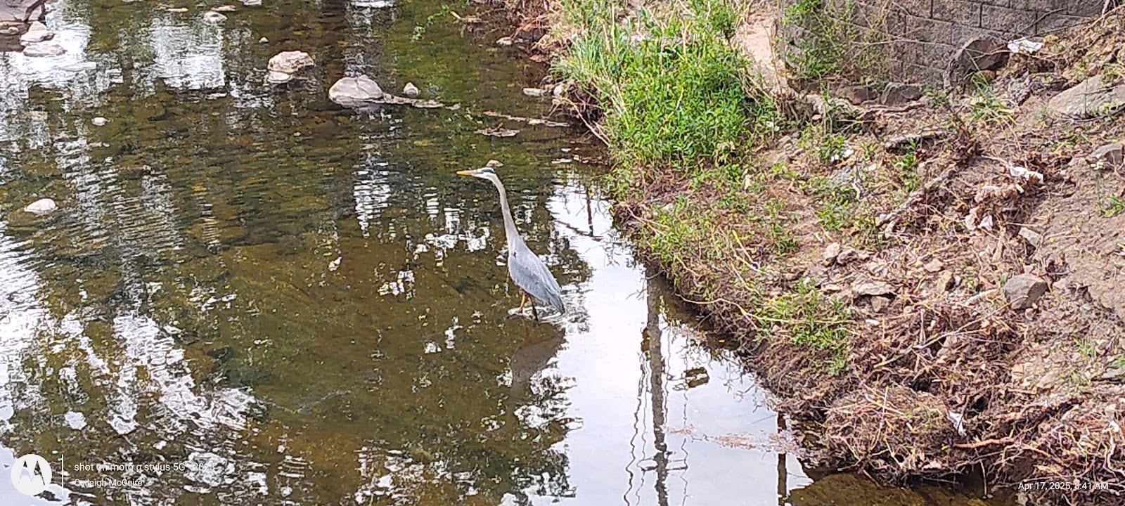 Coleman Creek Trail