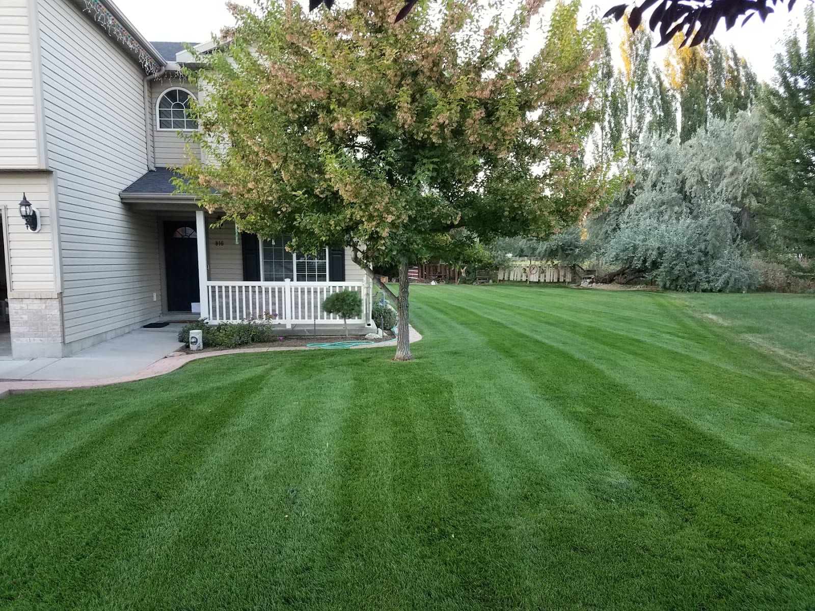 Yard Ranger, photo 2