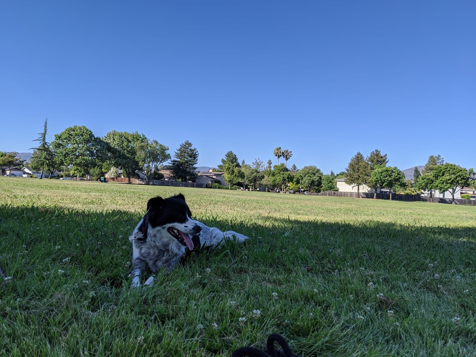 O’Brien Park