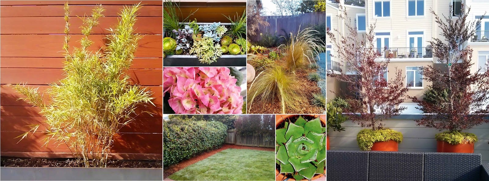 Spade Gardens & Landscaping, photo 4