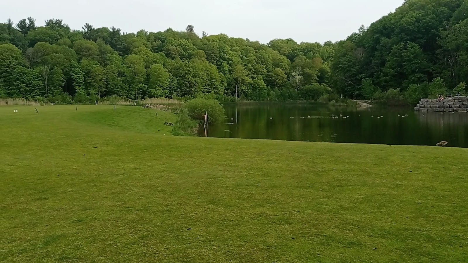 Gwendolen Park, photo 2