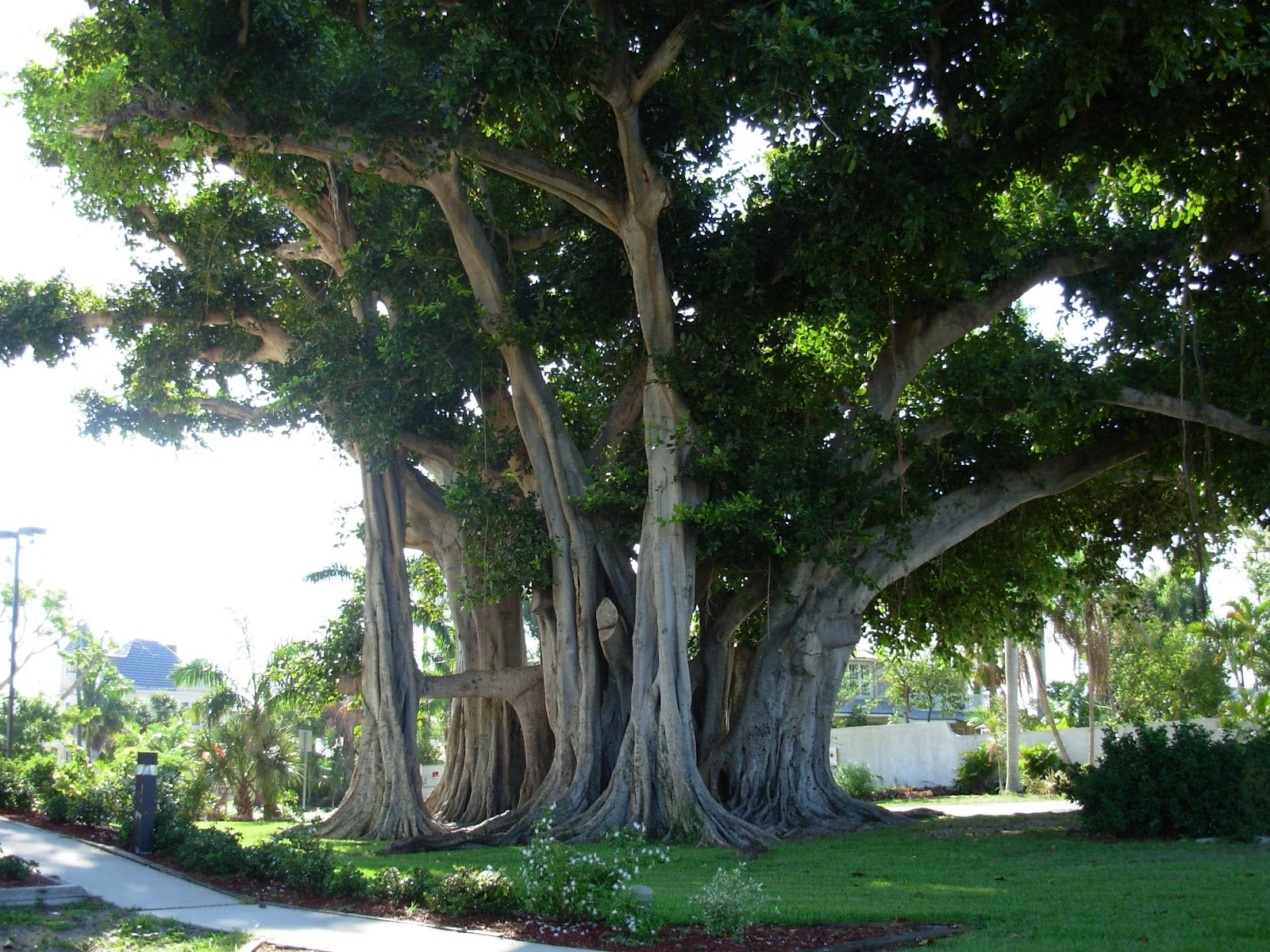 Gilchrist Park, photo 3