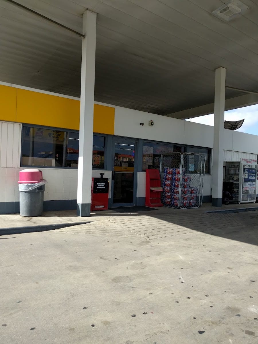 Shell, photo 3