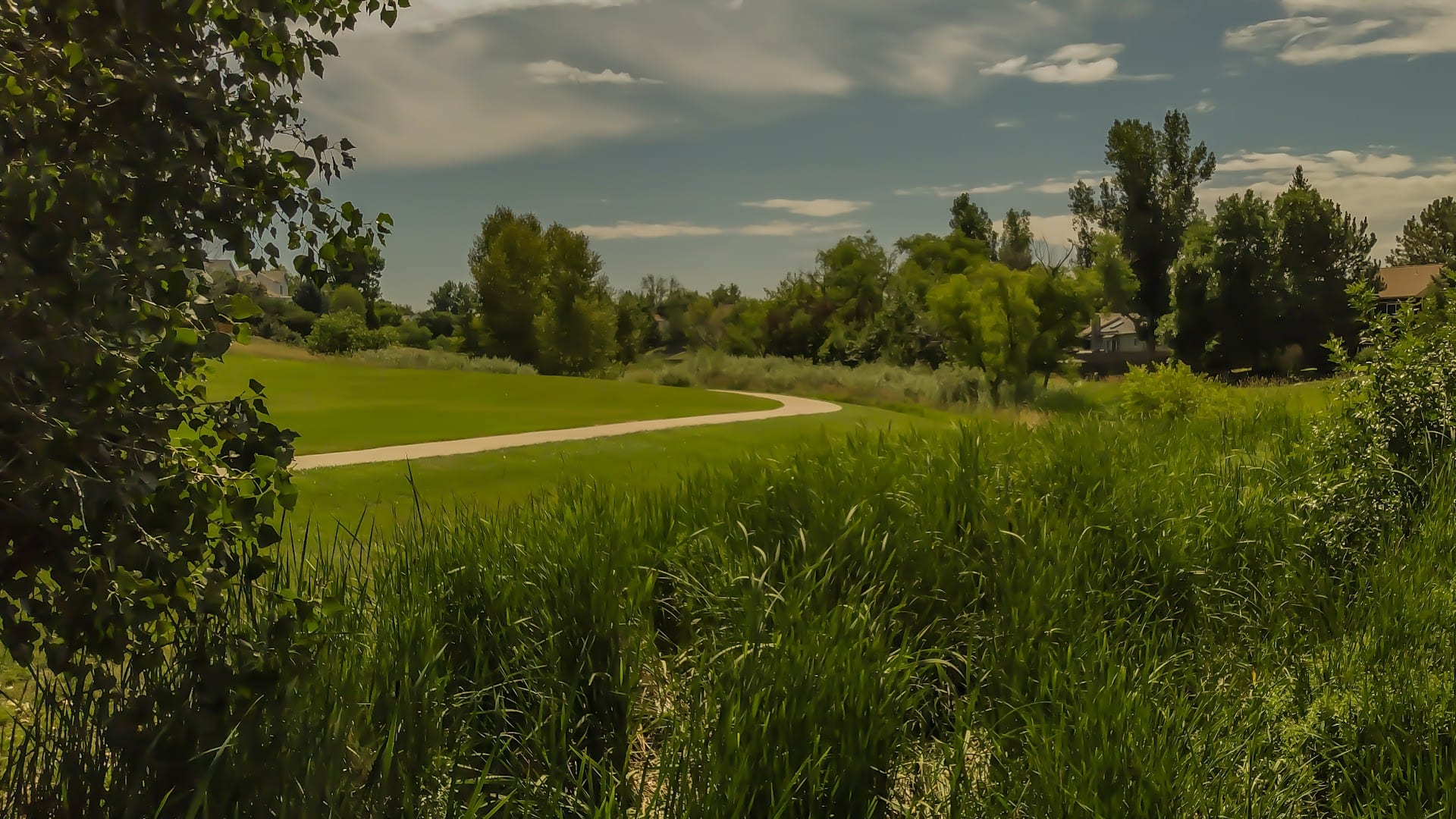 Pioneer Park, photo 2
