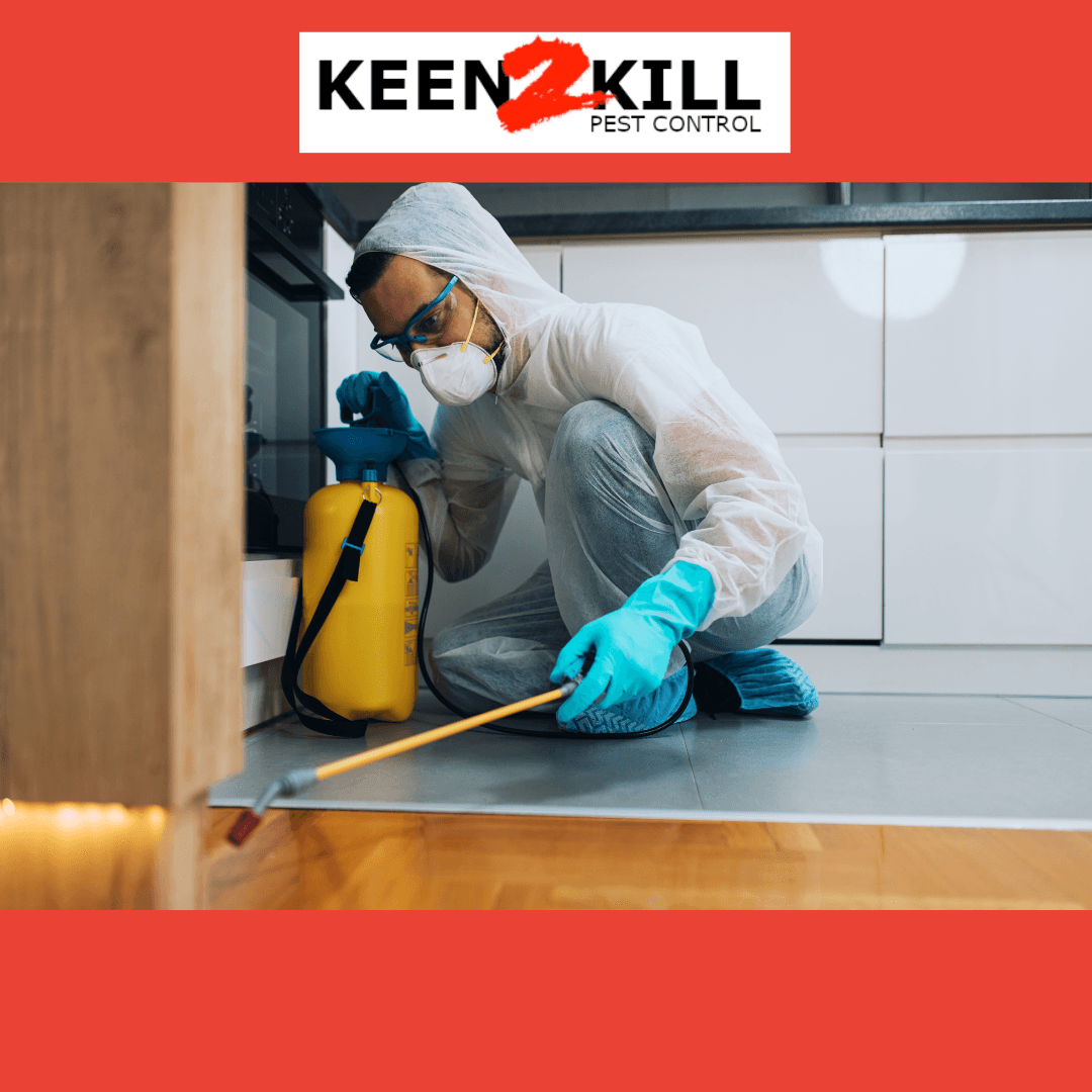 Keen2Kill Pest Control, photo 3