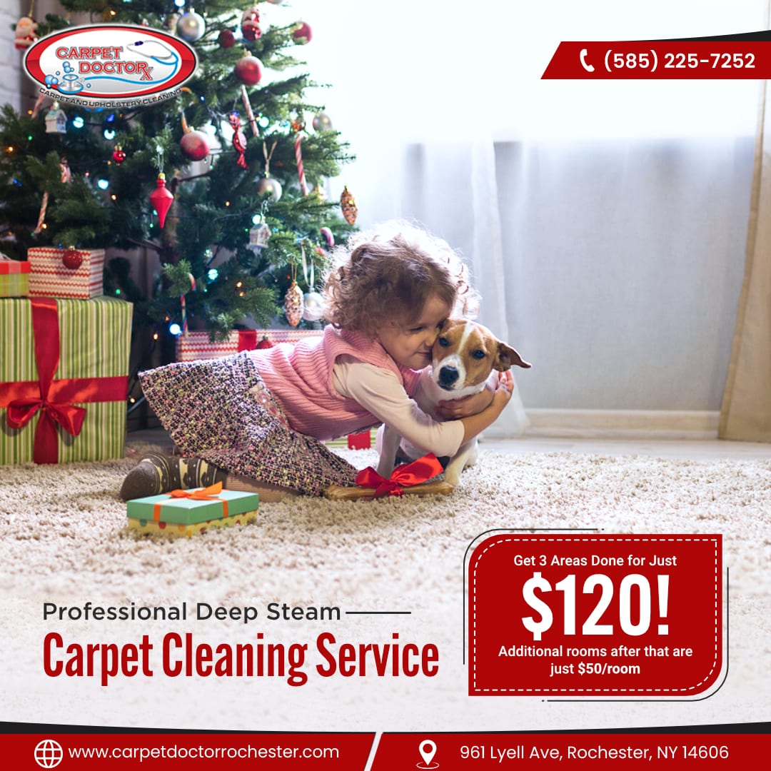 Carpet Doctor Rochester, photo 4