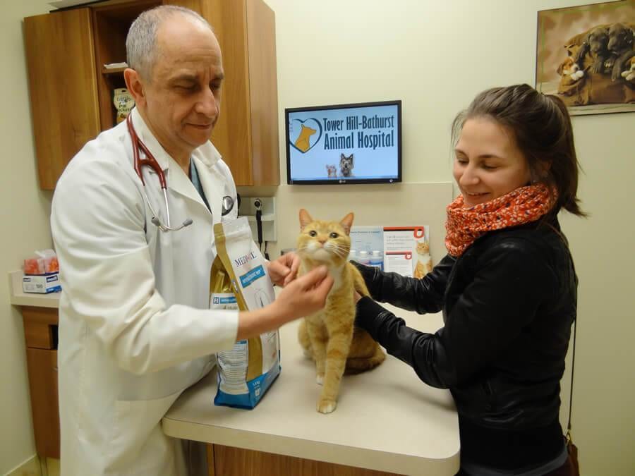 Tower Hill-Bathurst Animal Hospital