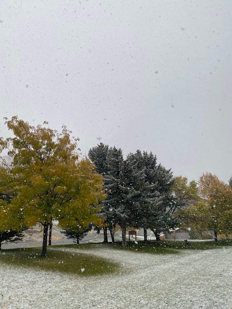 Canyon Road Park, photo 3