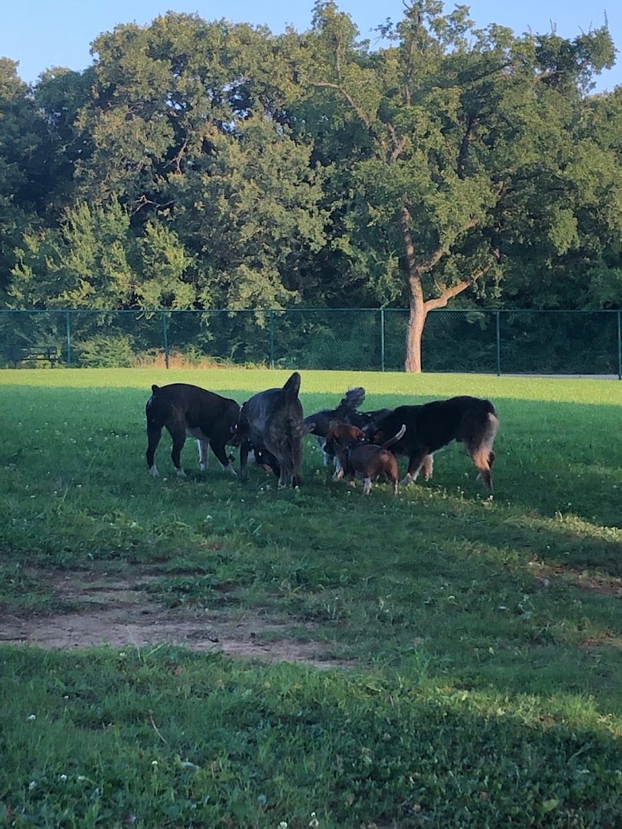 Wiggly Field Dog Park, photo 3
