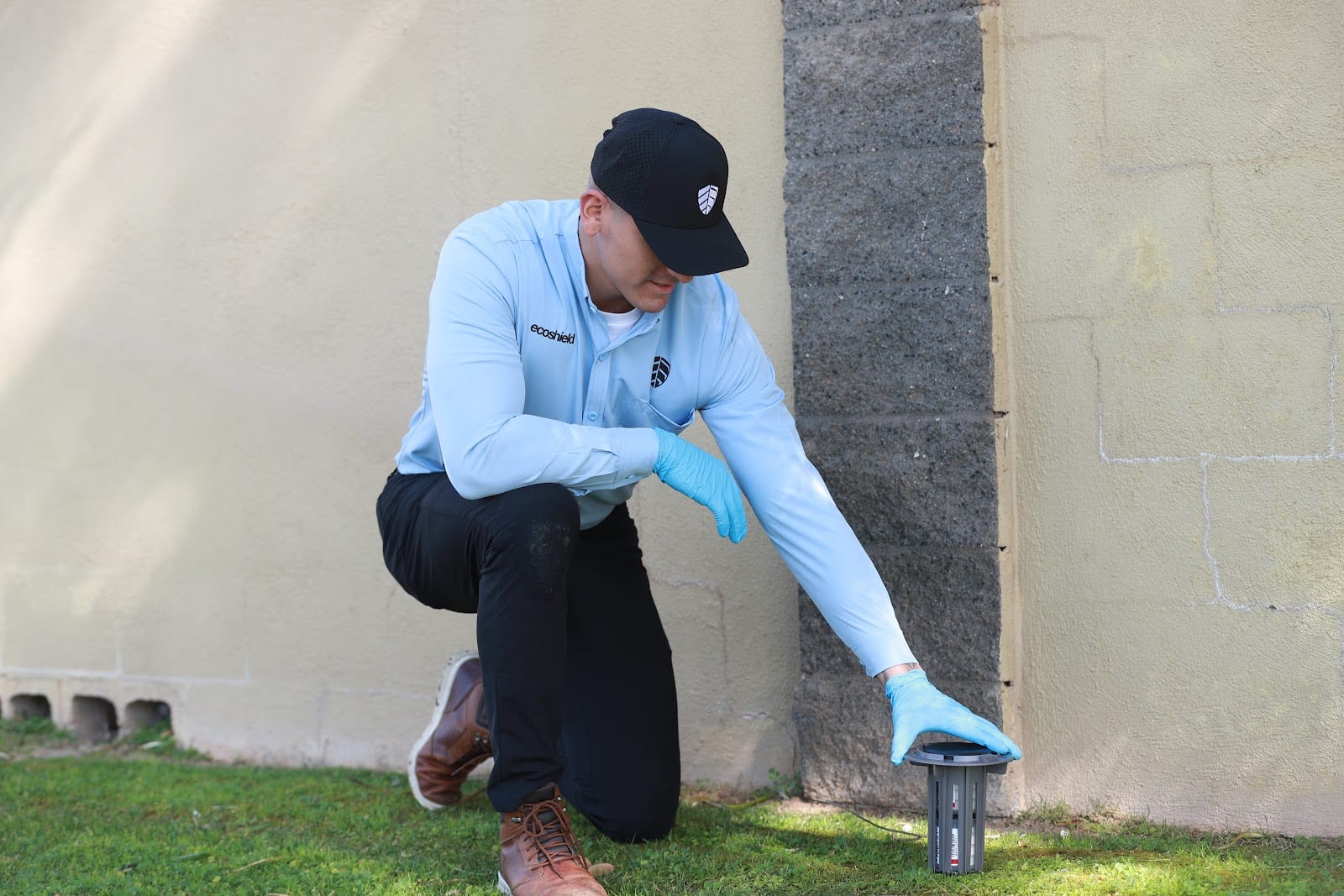 EcoShield Pest Solutions, photo 4