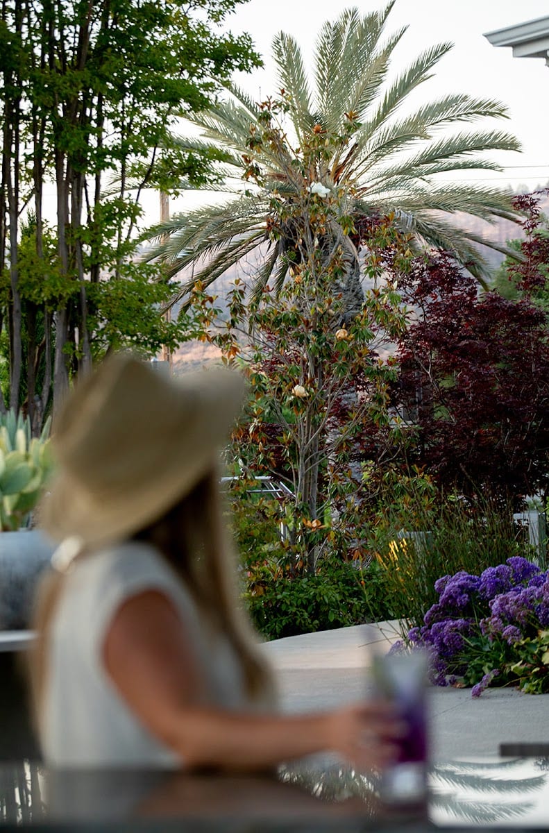 Salvia Terrace & Bar, photo 3
