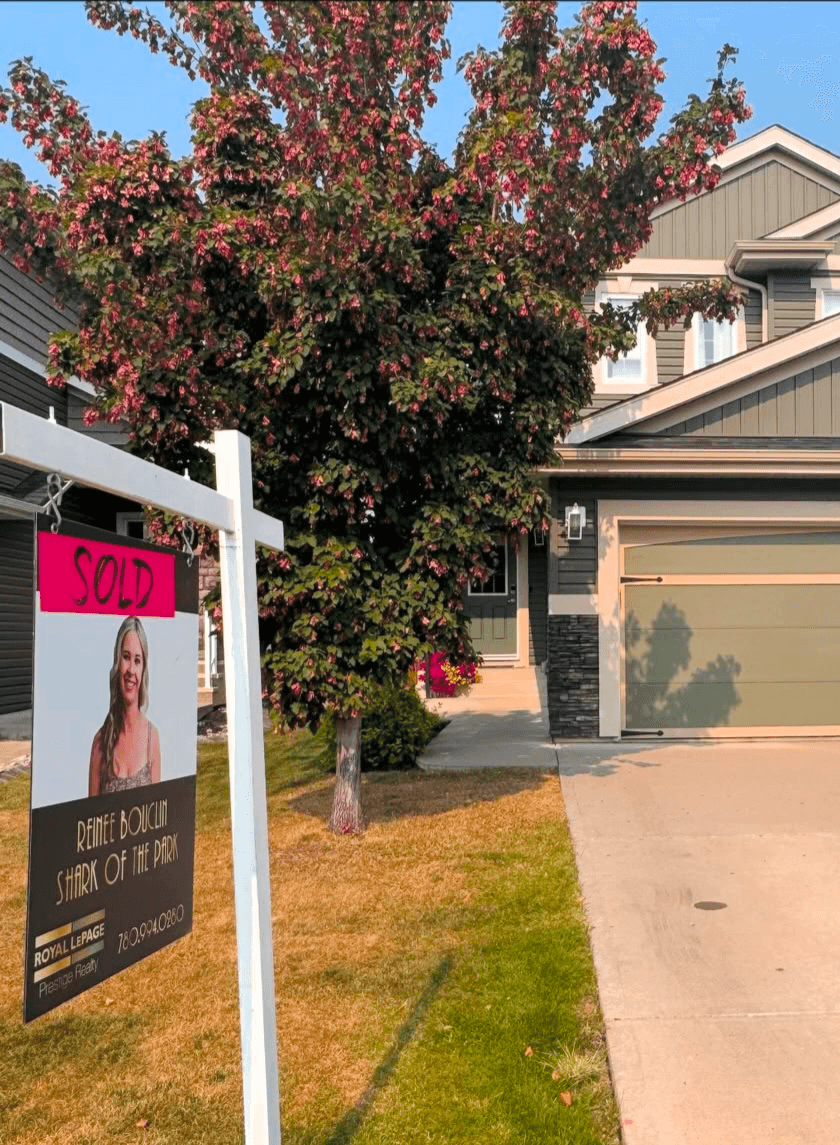 Reinee Bouclin Real Estate ( Shark of the Park ), photo 3