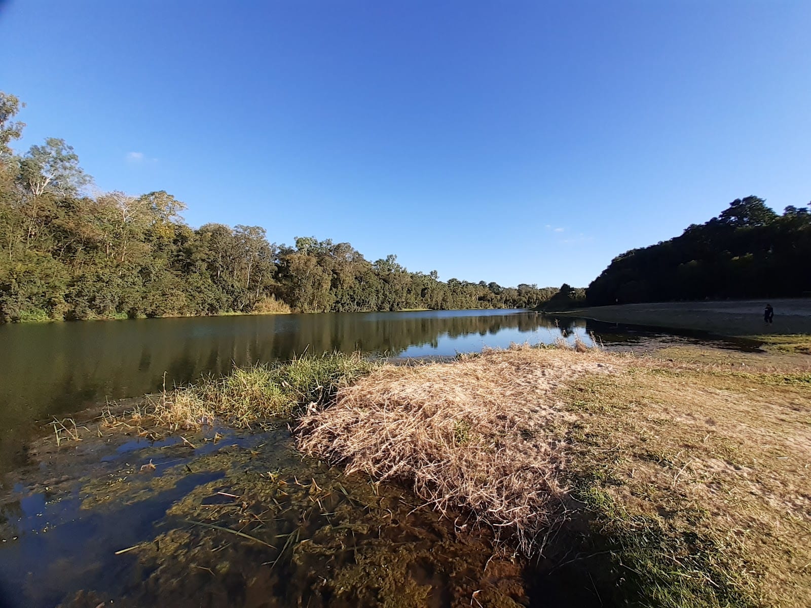 Platypus Beach