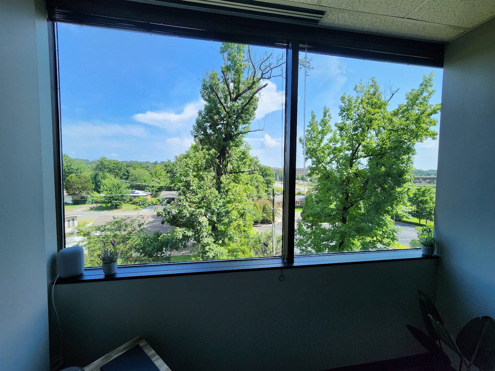 LoveHala Wellness Community, photo 4