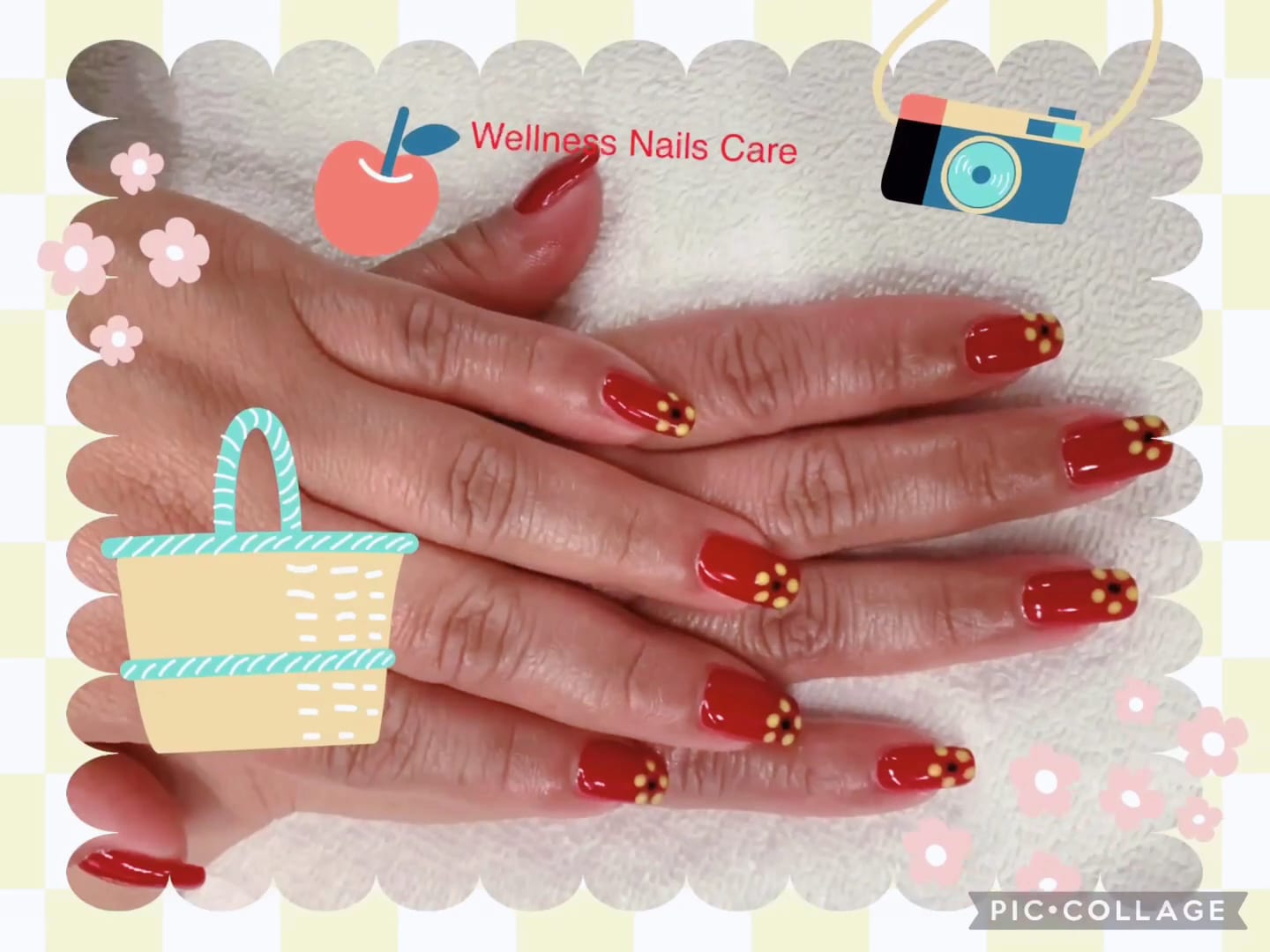 Wellness Nails Care, photo 3