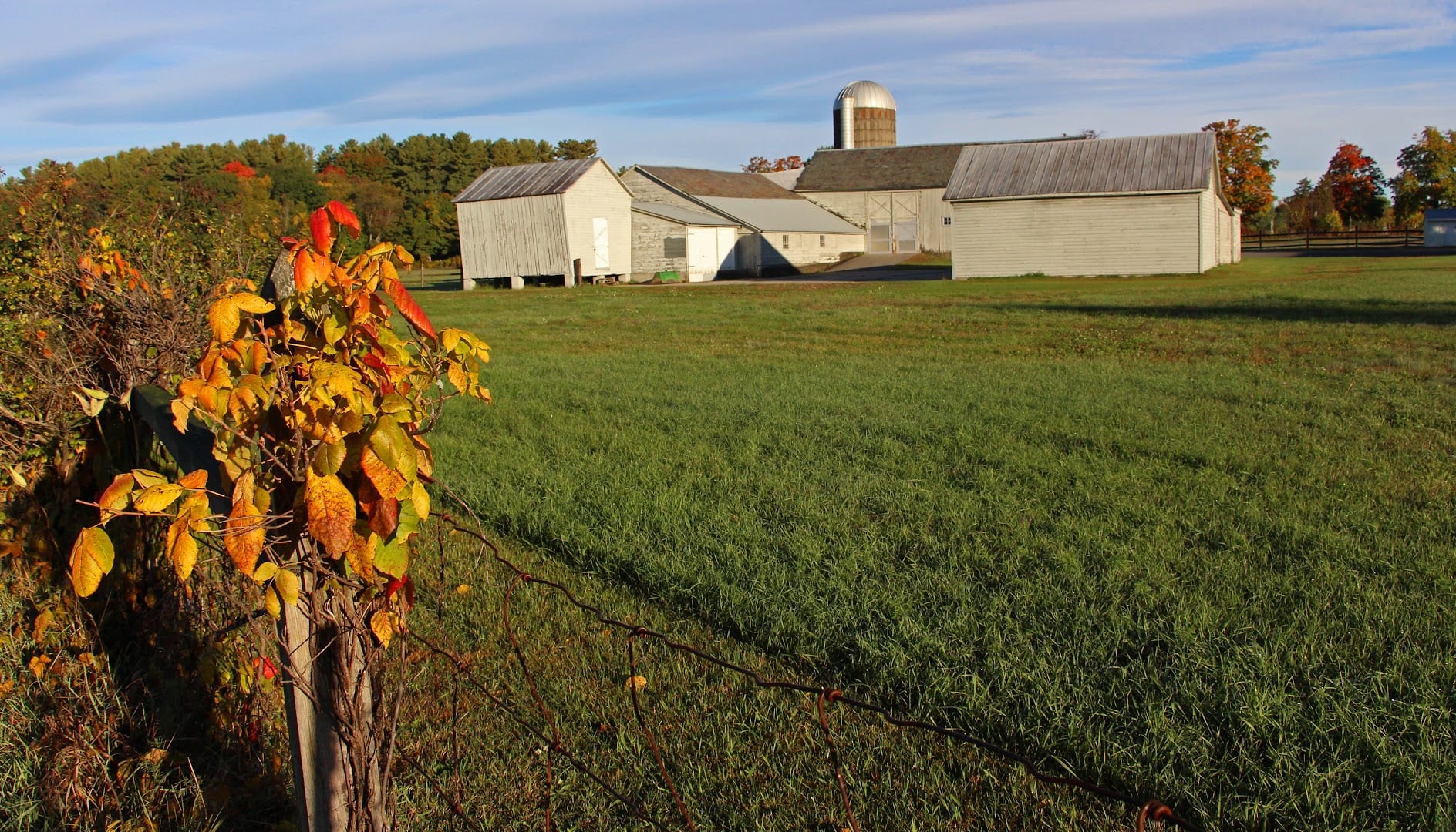 Pitney Meadows Community Farm, photo 3