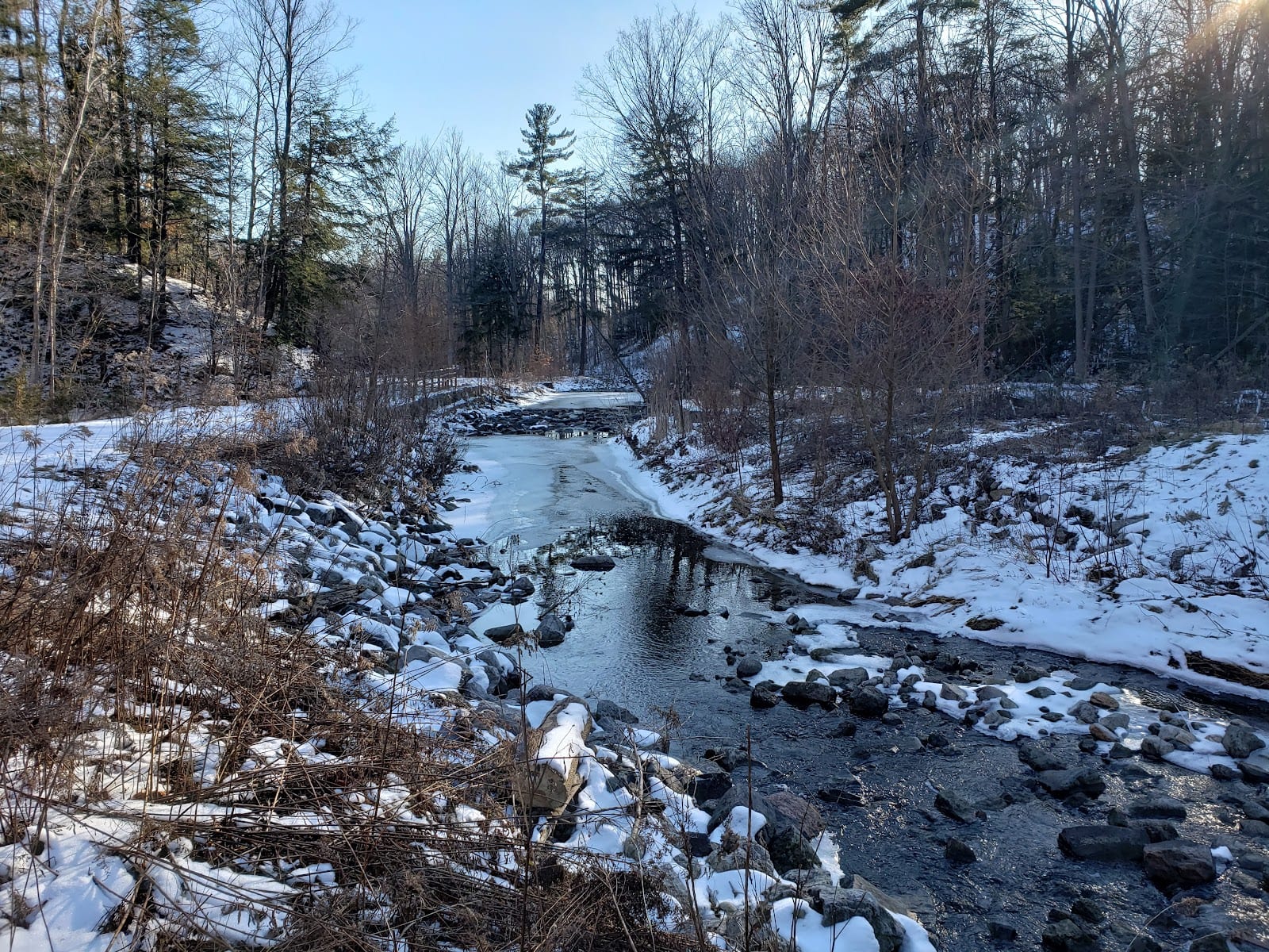 Wilket Creek Park#3, photo 3