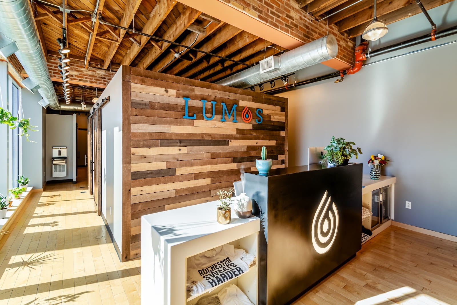 Lumos Infrared Sauna + Cold Plunge Studio, photo 2