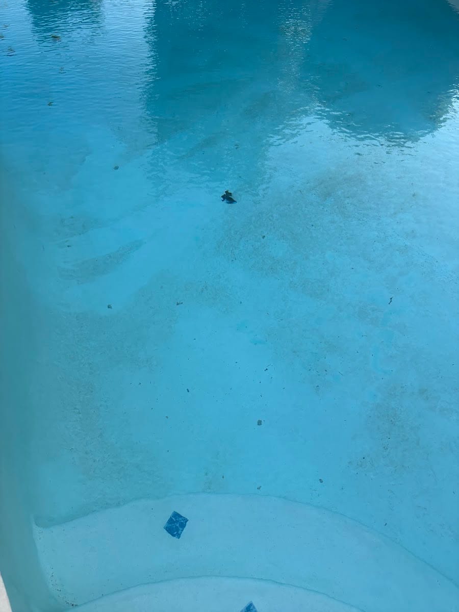 Aquaman Pools LLC, photo 4