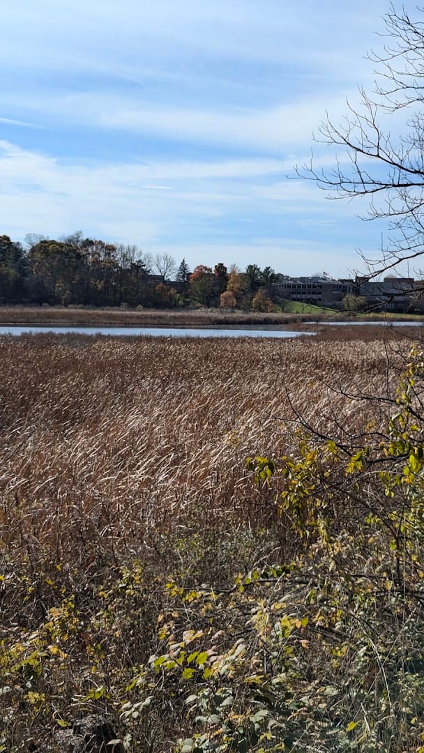 Spring Lake, photo 4