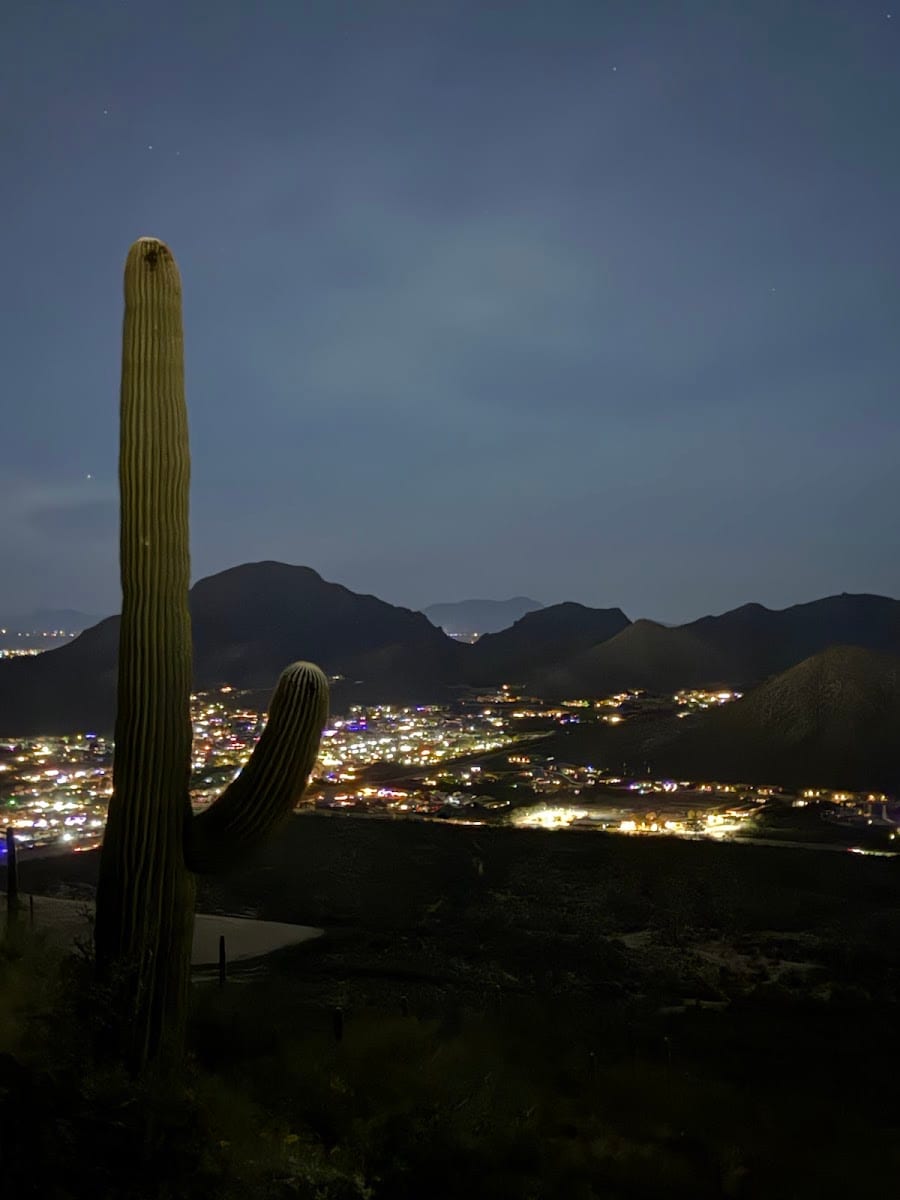 Tumamoc Hilltop
