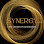 SYNERGY CENTER WELLNESS