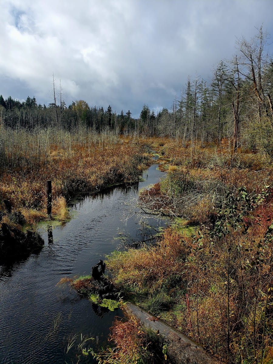 Chehalis Western Herman Rd Trailhead