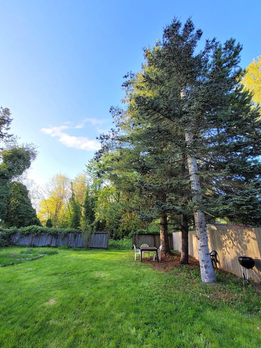 Duckling Properties LLC - Homes For Lease, photo 2