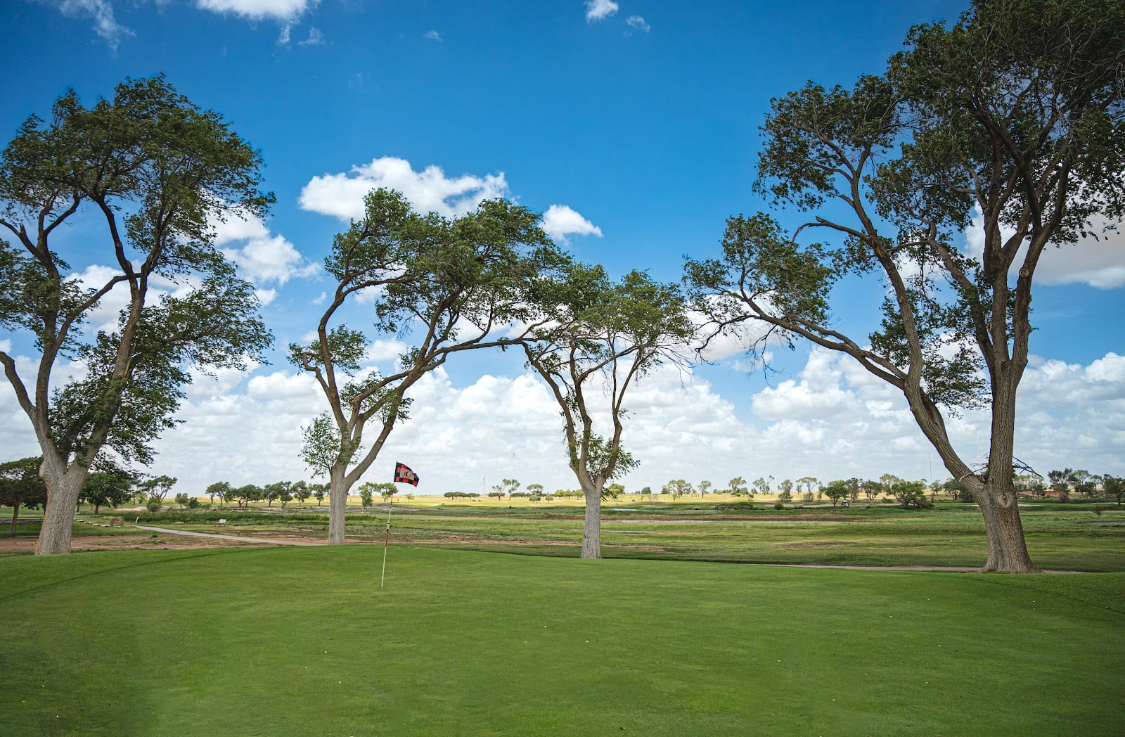 Reese Golf Center