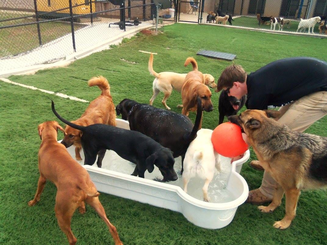 Paradise Pet Resort & Spa