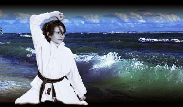 Norwich Kung Fu Academy - Clover Hill, photo 4