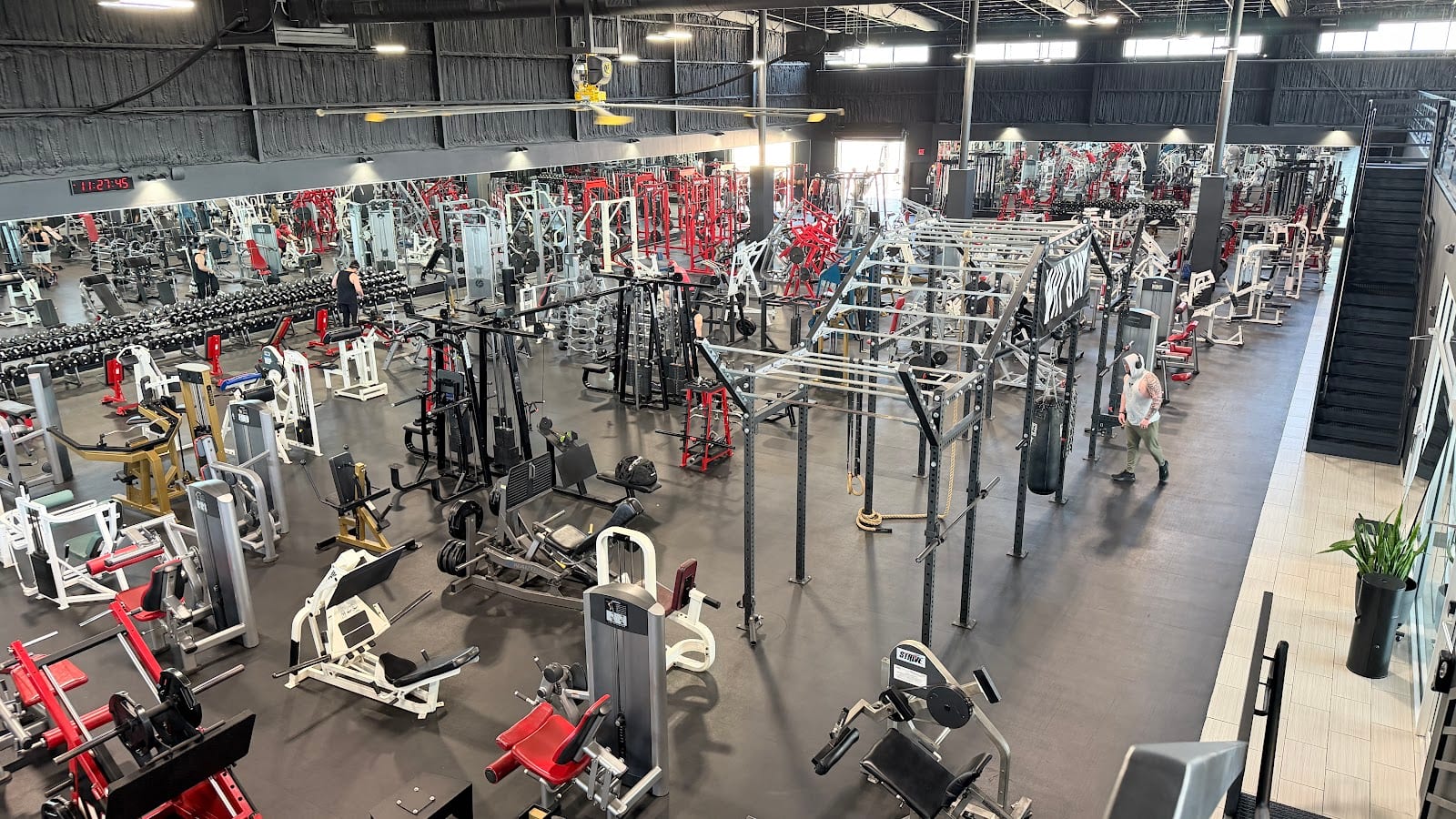 WHY GYM