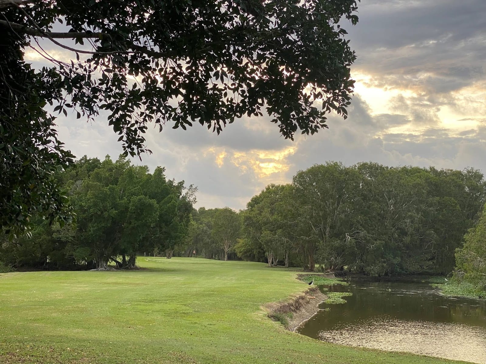 Melaleuca Golf Course