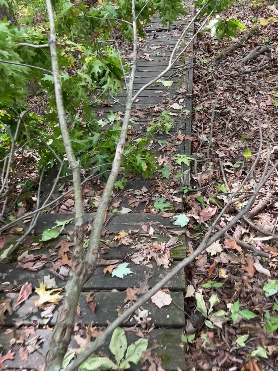 Mengerson Nature Reserve - ACRES Land Trust, photo 3
