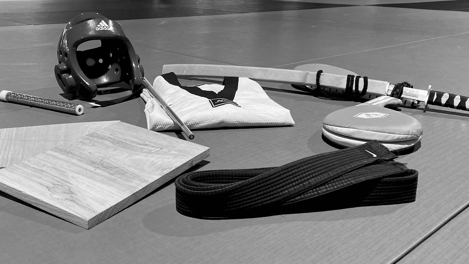 KIT Taekwondo, photo 2