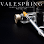 Valespring Cosmetic Surgery Institute